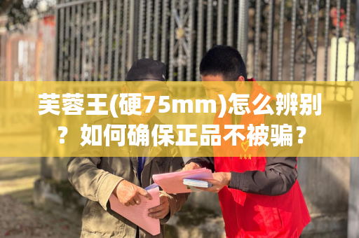 芙蓉王(硬75mm)怎么辨别？如何确保正品不被骗？
